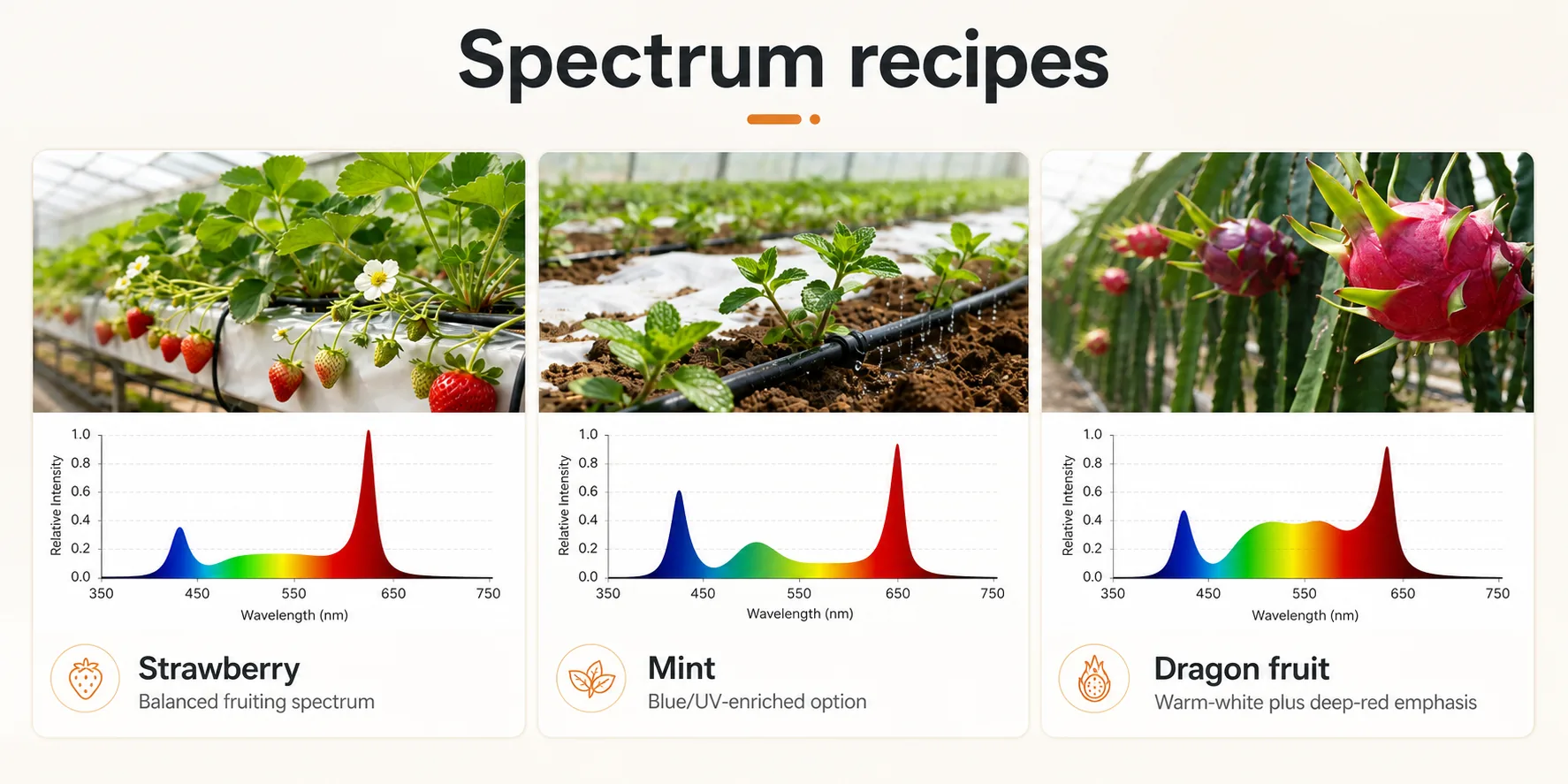 Spectrum recipe board for strawberry, mint, and dragon fruit