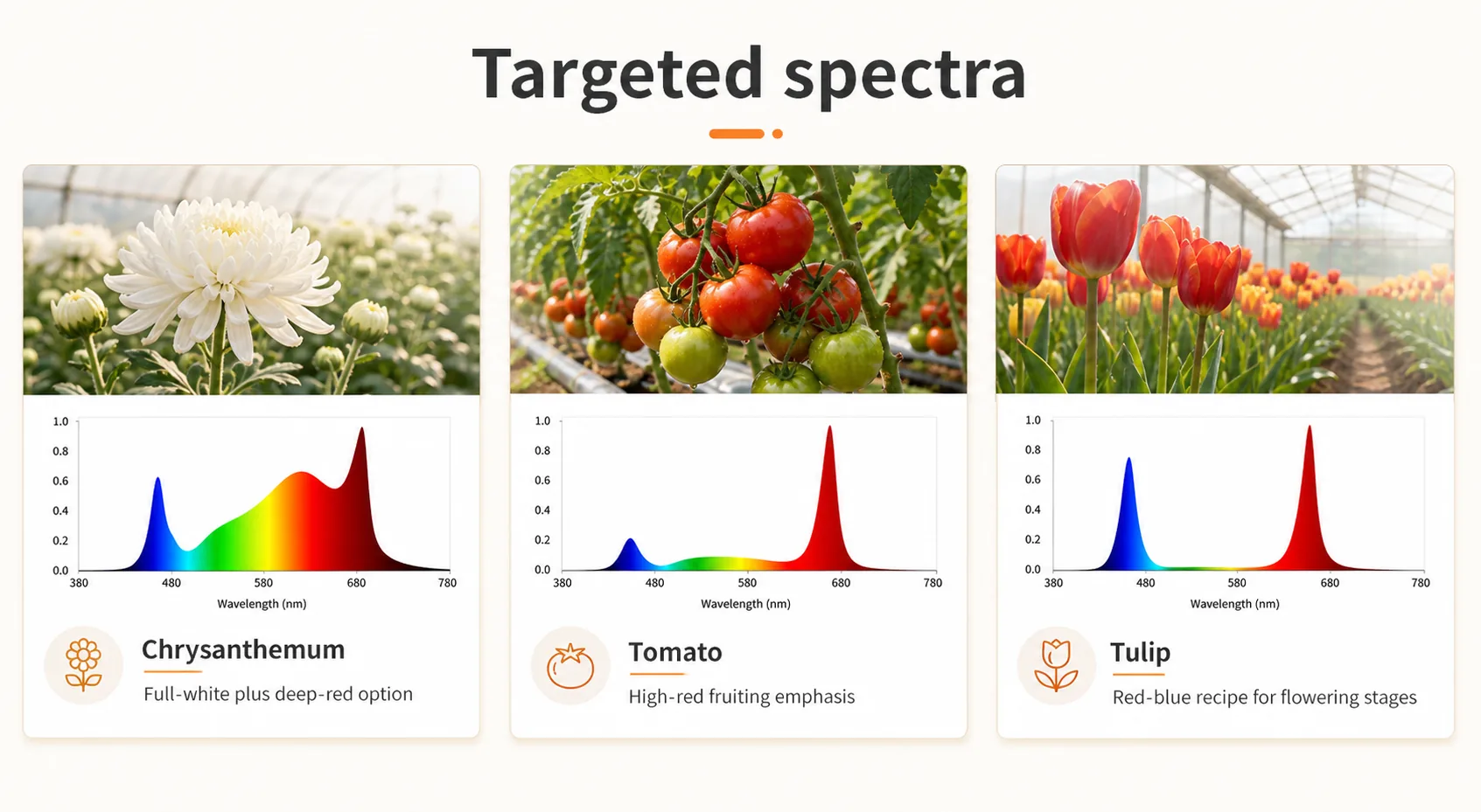 Targeted spectrum board for chrysanthemum, tomato, and tulip